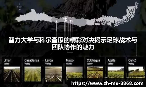 8868体育官方网站