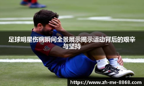 8868体育官网